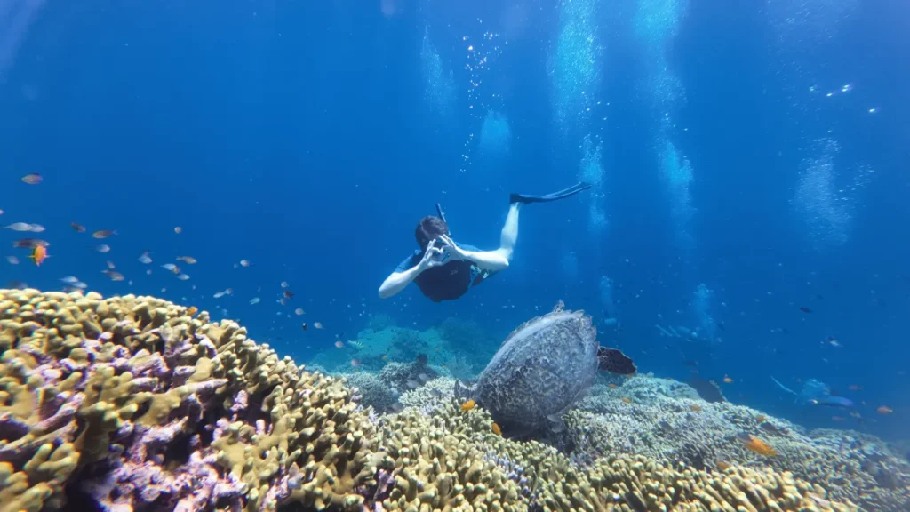 Snorkeling at West Bali National Park